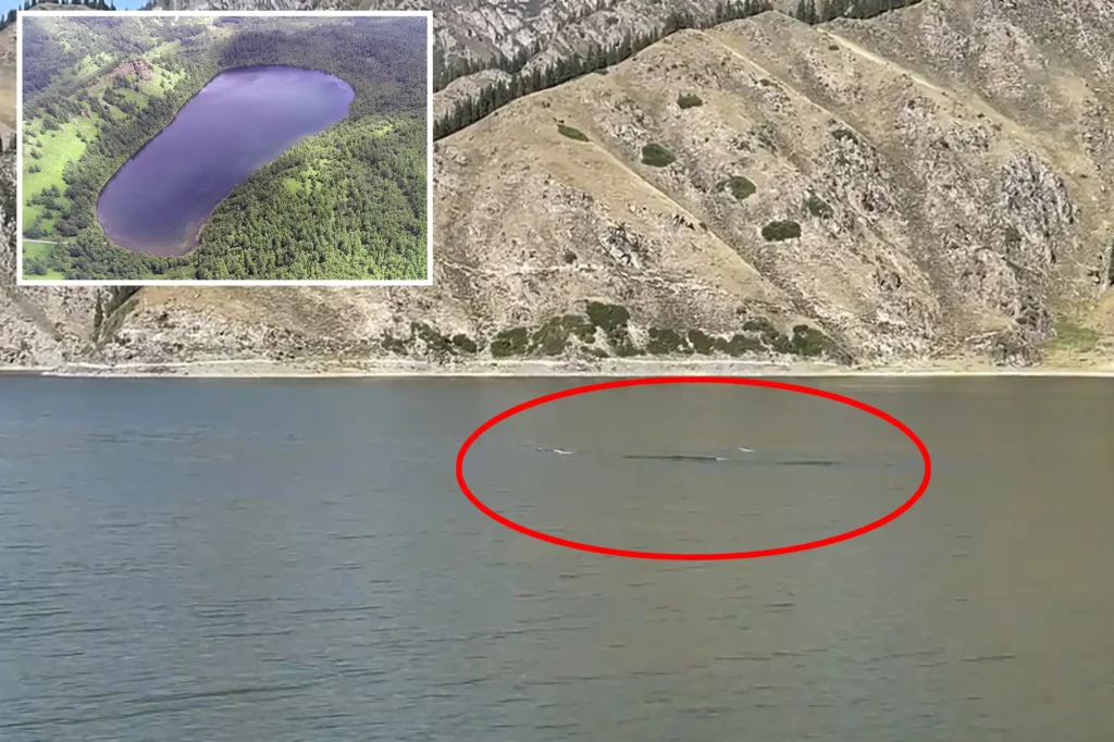 Is this the Lake Tianchi monster?